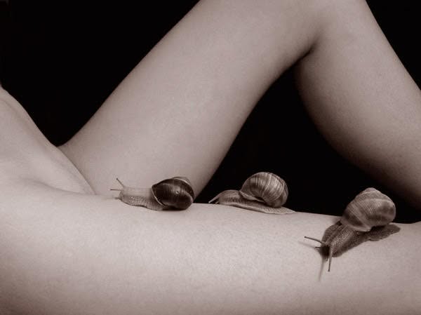 Фрагмент. Cерия 