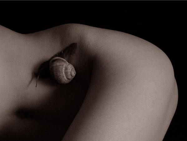 Фрагмент. Cерия 