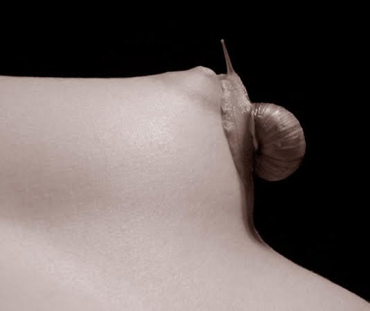 Фрагмент. Cерия 