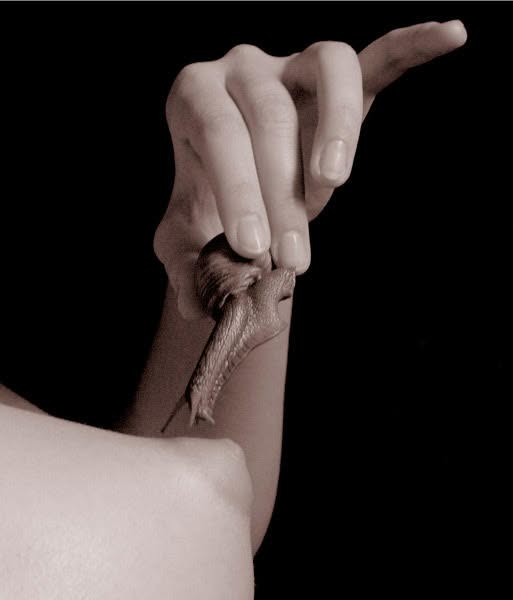 Фрагмент. Cерия 