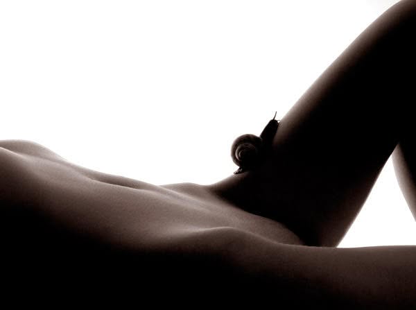 Фрагмент. Cерия 