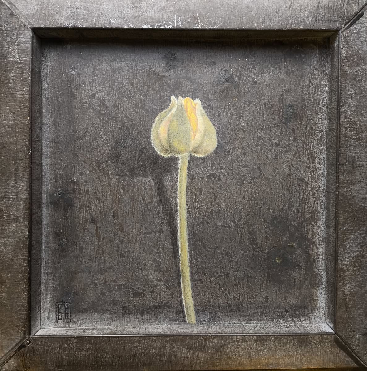 Ранункулюс. Владимир Княжев (2022)