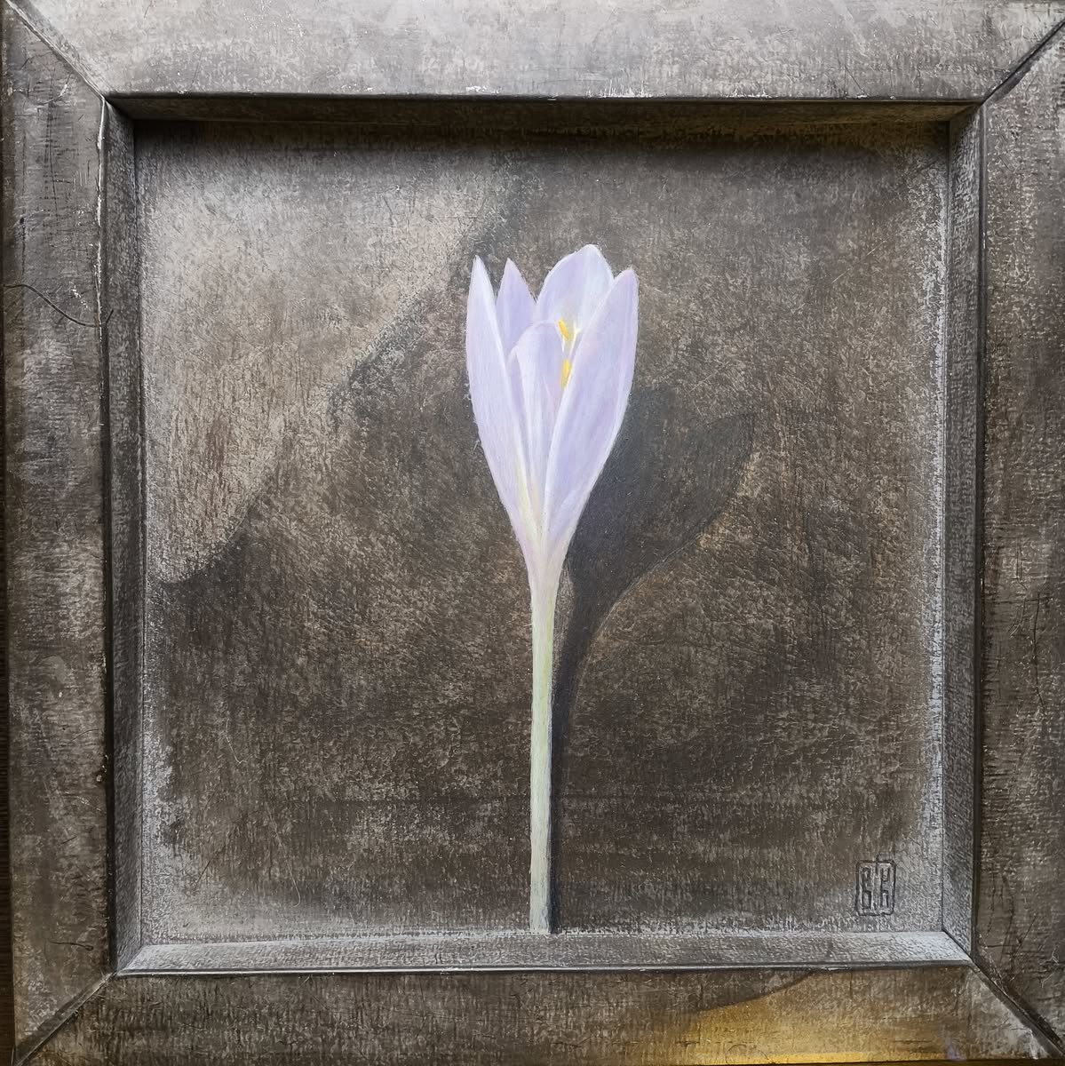 Безвременник - Владимир Княжев