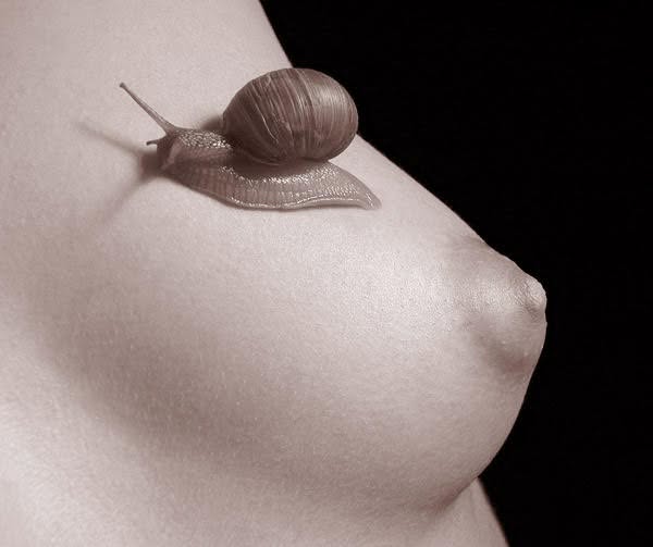 Фрагмент. Cерия 